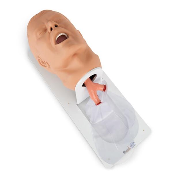 Nasco Company Trainer Airway Management Economy Adult Each - 101-500