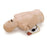 Laerdal Medical Corp Trainer Airway Management Deluxe Difficult Deluxe Each - 261-10001