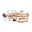 Nasco Company Manikin Nursing Skills Life/Form Advanced Adult Keri Ea - LF04022U