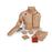 Nasco Company Trainer Catheterization Chester Chest Each - SB18636U