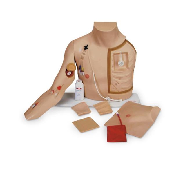Nasco Company Trainer Catheterization Chester Chest Each - SB18636U