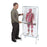 Nasco Company Body Model Anatomical The Thin Man 4 Sequential Overlays Adult Each - SB23900U