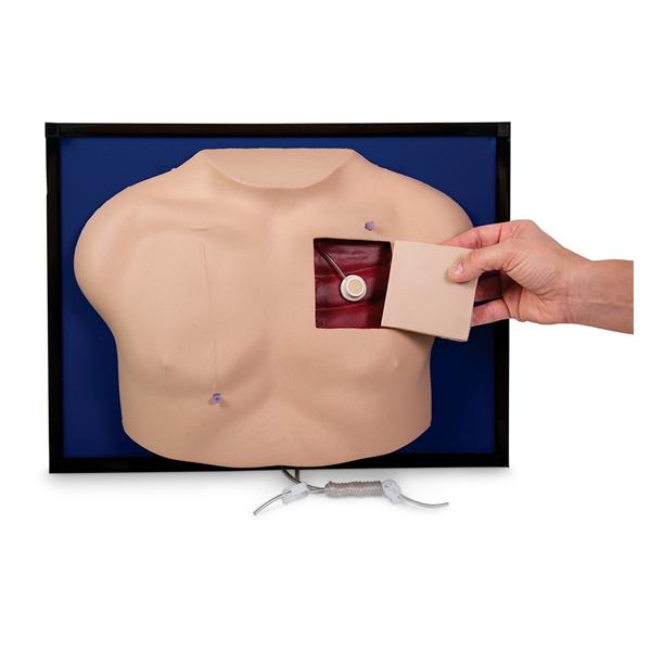 Nasco Company Model Venous Access Device Deluxe Ea - SB23493U