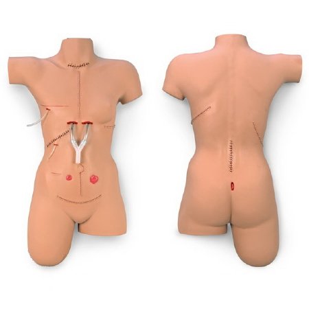 Life/form Surgical Sally - Bandaging Simulator Female Adult 40 lbs. Vinyl - LF00929