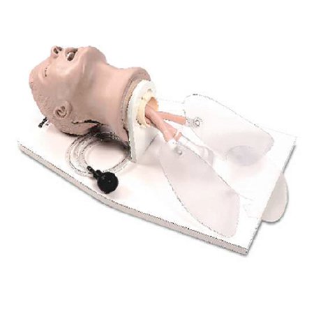 Life/Form - Adult Airway Management Trainer with Stand Life/form - LF03699