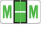 Wilmer Barkley Pre-Printed Label Chart Tab M | M Black / Light Green / White 15/16 X 1-5/8 Inch - W-5124-