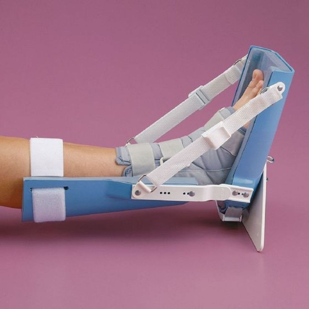 Ankle, Foot and Toe