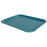 Polypropylene Trays