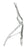 Miltex Miltex Septum Forceps Jansen-Middleton 7-1/2 Inch OR Grade Stainless Steel (German) NonSterile NonLocking Spring Handle Angled Cutting Tip - 20-556