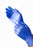  Exam Glove 