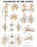 Patterson Medical Supply Anatomical Chart Knee 20 X 26 Inch Plastic Laminated - 816906