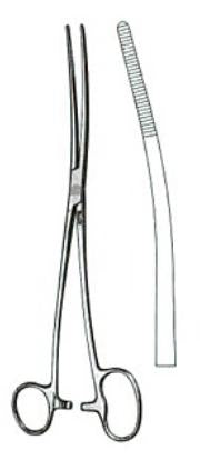 Miltex - Dressing Forceps Bozeman 10-1/2 Inch Length OR Grade German Stainless Steel NonSterile Ratchet Lock Finger Ring Handle S-Curved Serrated Tip - 7-624