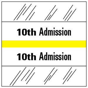 Tabbies  Admission Index Tabs & Chart Divider Sheets- 1-1/2"H x 1-1/2"W, 100 per Pack