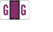 Wilmer Barkley Pre-Printed Label Multipurpose Label G | G Black / Purple / White 15/16 X 1-5/8 Inch - W-5117-G