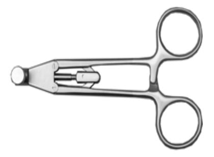 Stainless Steel With Ratchet