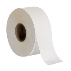 Georgia Pacific Envision Toilet Tissue envision White 2-Ply Jumbo Size Cored Roll Continuous Sheet 3.5 Inch X 1000 Foot - 12798