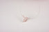 Salter Labs - Sleep Apnea Nasal Cannula - 5001-7-25