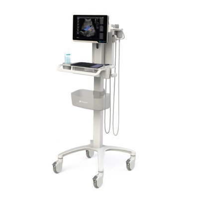 CART, ULTRASOUND TERASON