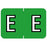 Tabbies Pre-Printed Label Chart Tab E | E Light Green 1 Inch - 71625