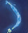 Avanos Medical Sales LLC Trach Care Closed Suction Catheter 10 Fr. - 2103