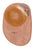 Coloplast Assura Colostomy Pouch One-Piece System 8-1/2 Inch Length, Maxi 1-9/16 Inch Stoma Closed End Flat, Pre-Cut - 12177