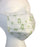 Procedure Mask