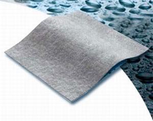 Systagenix Wound Management Silvercel Alginate Dressing with Silver 4-1/4 X 4-1/4 Inch Square Sterile - 800404