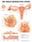 Anatomical Chart Company Anatomical Chart Female Reproductive System 20 X 26 Inch Plastic Wall Mount Laminated - 1587790203