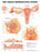 Anatomical Chart Company - Anatomical Chart Female Reproductive System 20 X 26 Inch Plastic Wall Mount Laminated - 1587790203