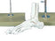 Alimed Foot Model Plastic - 7580