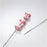 Biopsy Needle