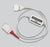 The Palm Tree Group - Adapter Cable 10 ft - 11996-000183