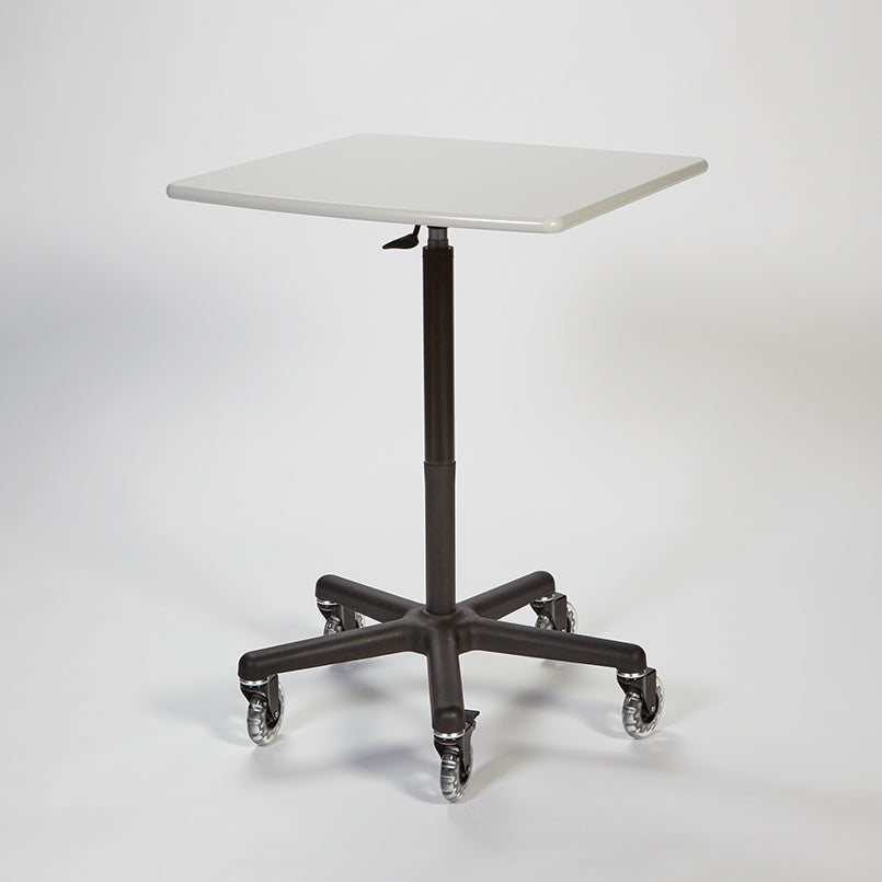 HCL Economy PalWOW - Workstation on Wheels - 5640