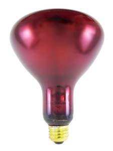 Brandt Industries Infrared Lamp 175 Watts - 58