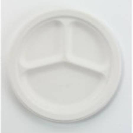Chinet - Plate White Single Use Paper 10-1/4 Inch Diameter - HUH21204CT