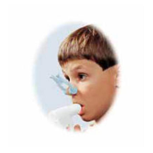 Schiller America Inc Spirometer Nose Reusable Ea - 2.100084