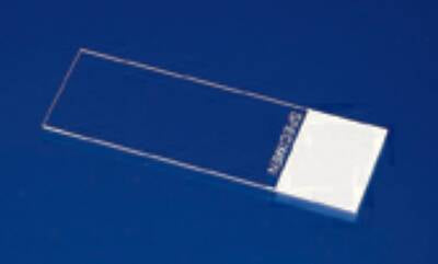 Fisher Anatomical Superfrost Microscope Slide 25 X 75 X 1 mm Frosted End - 12550143