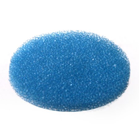 Bio Plas - Pad, Biopsy Blue, Cellular Polyester Plastic Foam 29 mm Capsules - 6110