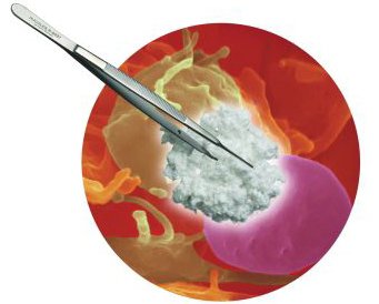 Integra Lifesciences Helistat Hemostatic Sponge Collagen 1/2 X 1 Inch - 1690ZZ