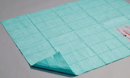 Aspen Surgical Products SurgiSafe Standard Absorbent Floor Mat 30 X 72 Inch Green - 83072
