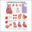 Anatomical Chart Company Anatomical Chart Cardiovascular Disease 20 X 26 Inch Plastic Wall Mount Laminated - 9781587798412