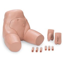 Nasco Interchangeable Catheterization & Enema Simulator Male and Female Genitalia, Six Connectors, and Carry Case - LG02099