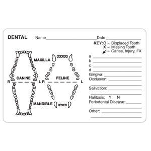 Tabbies Examination Record Labels - 4"W x 2-5/8"H, 240 Per Roll - V-AN412
