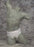 Scott Specialties Hernia Belt Medium - 76318923281