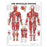 Wolters Kluwer Health Inc Chart Anatomical The Muscular System 20X26" Ea - 9781587796838