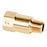 Brass Check Valve