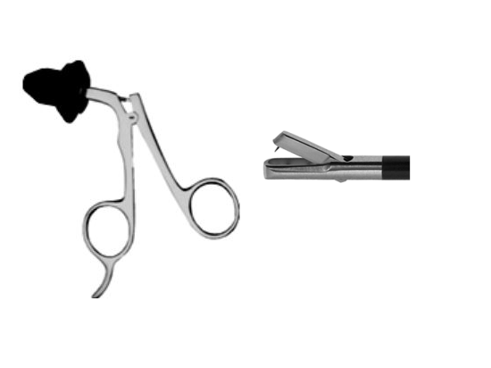 Biopsy Punch