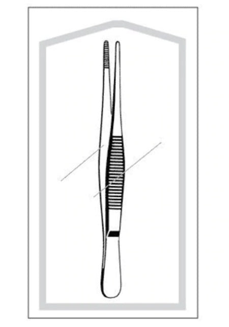 Sklar Econo Dressing Forceps Atrau-Allis 6 Inch Jaw - 96-2233