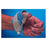 Chesapeake Medical Material Splinting Colours Hand Light Blue 18X24" 1/8" Thick Ea - CM266-1