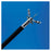 Avanos Medical Forcep Biopsy Thermal Option Ii 2.4Mmx240Cm Oval Cup Large Disposable 5/Ca - 60121